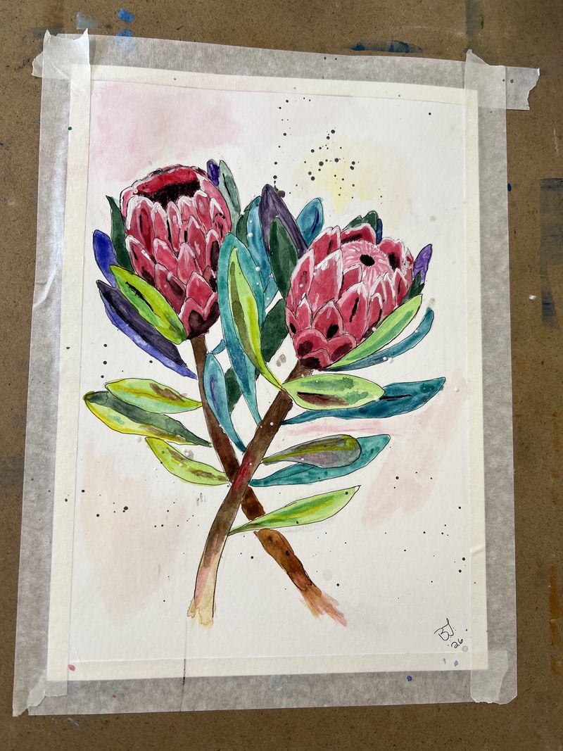 Watercolour of pink protea flowers with blue-green leaves